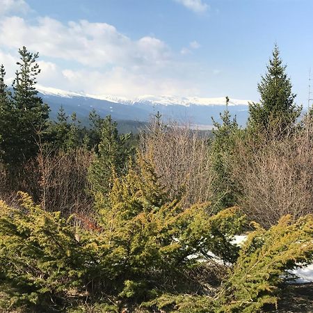 Borovets Hills Apartments - Evergreen Suite Екстер'єр фото